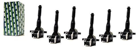 6x Zündspule Set für BMW E36 E46 E39 E38 E31 320i 325i 328i 330i 520i 523i 528i 530i Z3