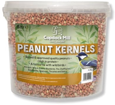 Copdock Mill Peanuts for Wild Birds - Peanut Kernels Bird Feed 5L Tub - High In Energy, Protein Rich Wild Bird Peanuts - Bird Seeds for Small Garden Birds