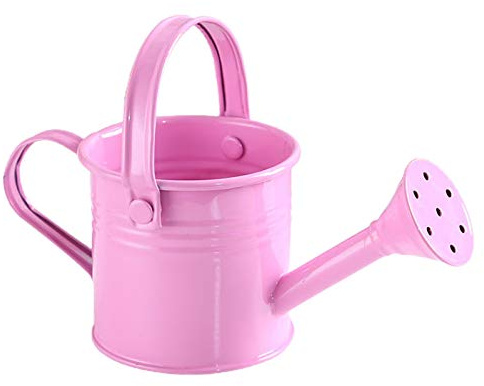 ZHDOKA Mini Annaffiatoio in Latta, Doccia da Giardino con Manico, Annaffiatoio Portatile Piccolo e Moderno per Fiori da Giardino Bonsai Succulenti(#2)
