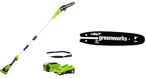 Greenworks Akku Hochentaster, 20 cm Blattlänge, 8 m/s Kettengeschwindigkeit, 40V 2Ah Akku & Ladegerät+ Greenworks 20cm Führungsschiene für Kettensäge
