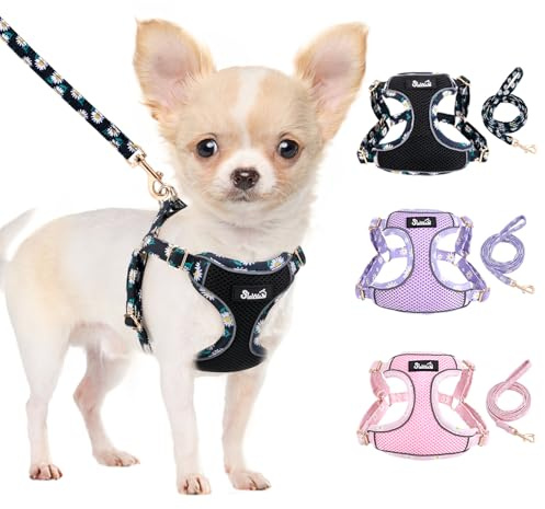 Eyein Small Dog Harness and Lead Set, Soft Mesh Breathable Dog Harness | No Pull Escape Proof No Chock Step-in Puppy Vest Lightweight, Reflective Stripes, for Extra Small Dogs Kitten (Black, XXS)