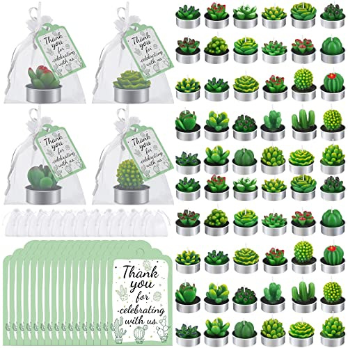 Lounsweer 60 Pcs Scented Succulent Cactus Candles Bulk Mini Succulent Tealight Candles with 60 Thank You Gift Tags 60 Organza Bags Christmas Wedding Gifts for Guests Baby Shower