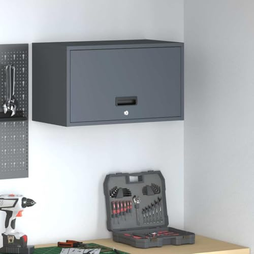 Teenpull Armario de pared para garaje, color antracita, puerta elevadora de gas, 33 x 60 x 35 cm, acero resistente, montado en la pared, para taller, trastero, etc