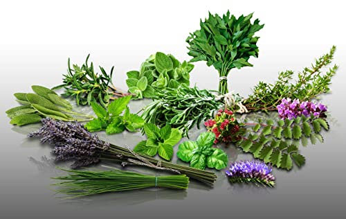 Lot de 1400 graines à semer - Le Grenier d'Abondance - Aromatiques Vivaces - 14 sachets individuels