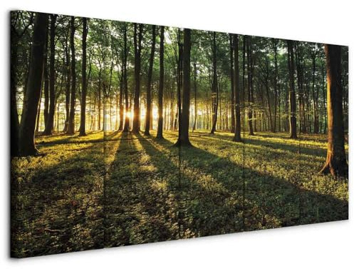 murando - Akustikbild Wald 100x40cm 5 tlg Bilder Akustikschaum Schallschutz Wand Deko Akustikpaneele Wandpaneele Schalldämmung Wandbild Schallabsorber Akustikplatten Natur Landschaft c-B-0306-b-m