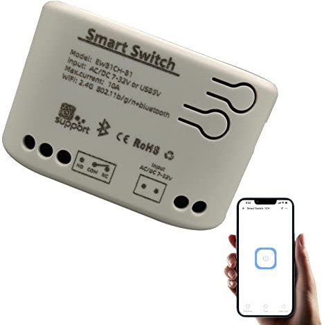 Newgoal 1 canale Smart Switch Relè WiFi momentaneo/a scatto, interruttore di controllo Bluetooth eWeLink APP, casa intelligente fai-da-te, compatibile con Alexa Google Home