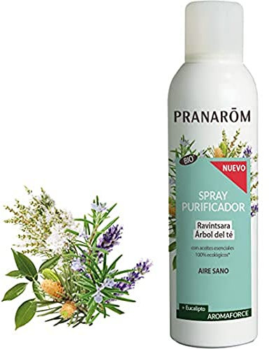 PRANAROM - Aromaforce - Spray Purificador Ravintsara/Árbol del Té + Eucalipto Bio - Color Ravintsara - 150ml