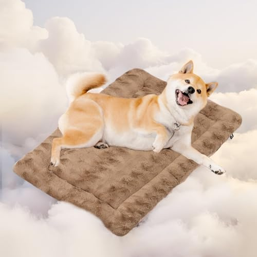Mora Pets Hundedecke Flauschig Hundematte Waschbar und rutschfest Hundekissen für Kleine Mittelgroße Grosse Hundebett Weiches und Kuschelig Hunde Decke, 74 x 46 cm