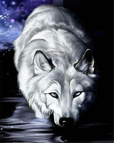 YEESAM ART DIY Ölgemälde Malen nach Zahlen Erwachsene Kinder, Nacht Wolf Zahlenmalerei ab 5 Öl Wandkunst (Wolf, mit Rahmen)