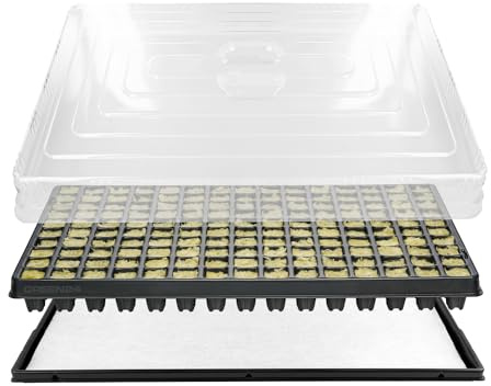 GREEN24 Anzuchthaus STW-150 inkl. 150 Steinwollewürfel 25x25x40mm - Anzuchthaus Steinwolle für Pflanzenanzucht und Hydroponik - Für Samen, Saatgut und Stecklinge
