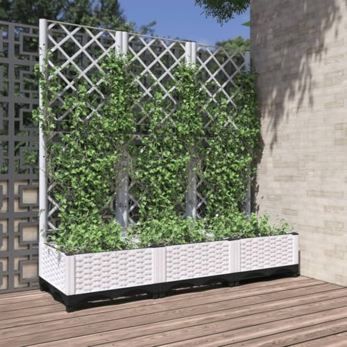 HaoChrymec Fioriera con Traliccio Integrato, Vaso da Esterno in Polipropilene Bianco per Piante Rampicanti, Fioriera da Balcone con Grigliato, 120 x 40 x 121.5 cm