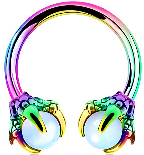 OUFER Body Piercing Horseshoe Earrings Helix Piercing 316L Surgical Steel Helix Earrings Dragon Claws Circular Ring Cartilage Earring Body Piercing Rainbow