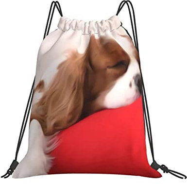 Turnbeutel Mit Kordelzug Cavalier King Charles Spaniel Rucksack Mit Kordelzug Bedruckt Reiserucksack Outdoor Sportarten Gym Bag Für Kindergarten, Erwachsene, Strand, 36X42Cm