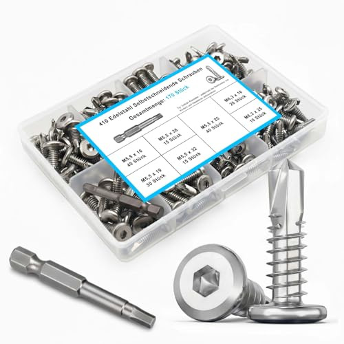 Dayalo 170 Stück Blechschrauben-Set 5,5/6,3 mm, Edelstahl 410 mit Bit | Selbstschneidend, 7 Größen: 5,5 x 16/19/25/32/38 & 6,3 x 16/25 mm; Innensechskant-Bit und Box für Metallarbeiten