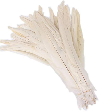 Yalulu 20 Stück 30-35 cm Größere Natur Feder Hahn Feder Fasan Hahnfeder Federn zum Basteln Kopfschmuck Schmucksfedern DIY (Beige)