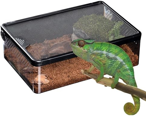 per terrario di rettili - ventilata trasparente, contenitore da cova a prova di fuga | Casa sicura per animali domestici per coleotteri, ragni, scorpioni, grilli, insetti, anfibi