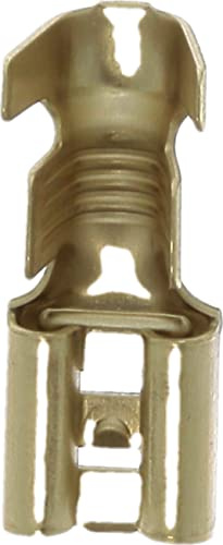 Capicorda piatta nuda femmina in scatola, 6,35 mm x 0,8 mm, 2,6 a 6 mm2, confezione da 100