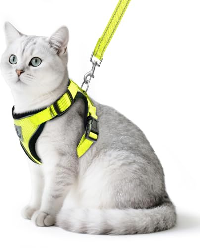 PUPTECK Katzengeschirr und Leine Set Fluchtfestes reflektierendes Katzengeschirr Einstellbare weiche atmungsaktive Netzweste f¨¹r kleine Haustiere, Fluoreszierend Gelb, M