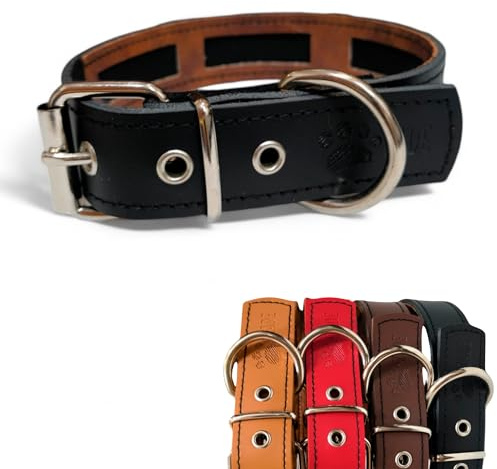 Collar Ajustable Perros Cuero Protección Antipulgas Garrapatas Accesorio Mascotas Hebilla Metálica Paseos Seguros Comodidad Elegancia Estilo Durabilidad Ligereza Diseño Premium (N,S) Negro