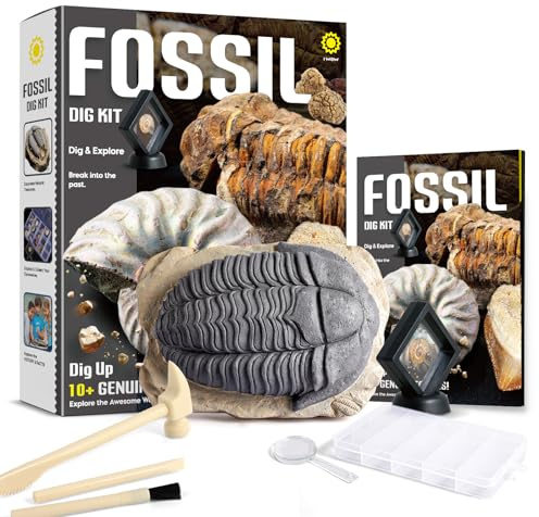 Byncceh Kit Scavo Fossili Bambini con 12 Fossili Veri – Gioco Scientifico STEM Educativo con Martello & Scalpello – Set Paleontologia Bambini 6-12 Anni – Regalo Didattico Senza Schermo