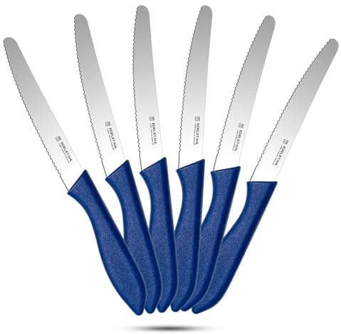 targzier Frühstücksmesser Set 6-teilig, Brötchenmesser Wellenschliff,Blue. | Ergonomischer Griff, hochwertige Edelstahlklingen, Tomatenmesser, Buttermesser, scharfes Tischmesser mit Wellenschliff.