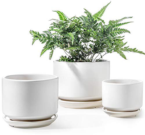 LE TAUCI Macetas de cerámica, 4.3 + 5.3 + 6.8 Pulgadas, Juego de 3, macetas con Agujero de Drenaje y platillo, Maceta de Interior con Almohadilla de Malla con Agujero, Regalos para mamá, Color Blanco