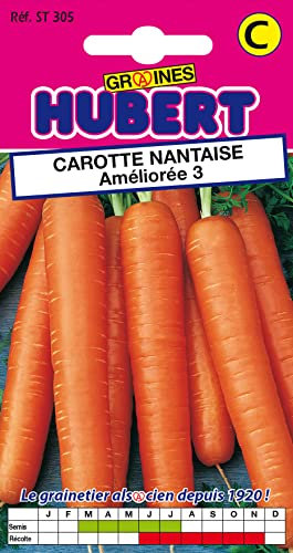 Graines de Carotte demi longue Nantaise Améliorée 3-6 grammes