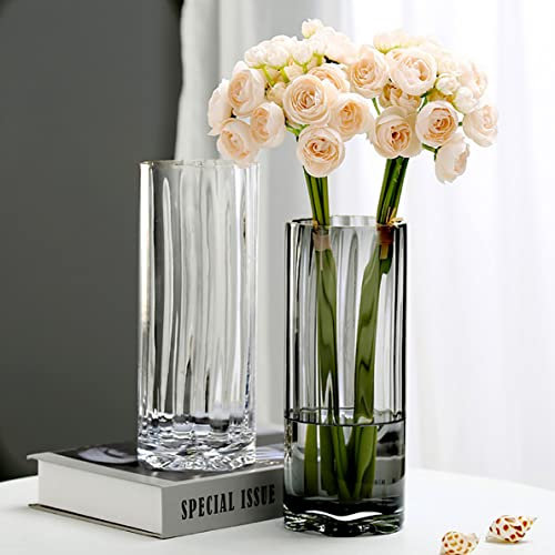 Holdyfine Glasvase Zylinder Blumenvase Glas Tulpenvase Glas,für Hochzeiten Party Events Dekorieren Arrangements Büro oder Wohnzimmer Home Decor,10 * 25cm