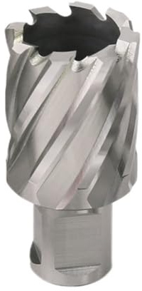 12–60 mm HSS-Kernbohrer mit 19 Weldon-Schaft und Hohllochsäge for Stahlschneidwerkzeuge(53mmX25mm)