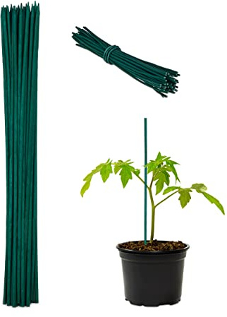 300x Canne di Bambù 30 cm, Set da 300 Bastoni 5 mm Ø, Paletto Sostegno per Piante Rampicanti o Decorazione, Verdi | Supporto per le piantine, con filo per legare e bastoncini di bambù