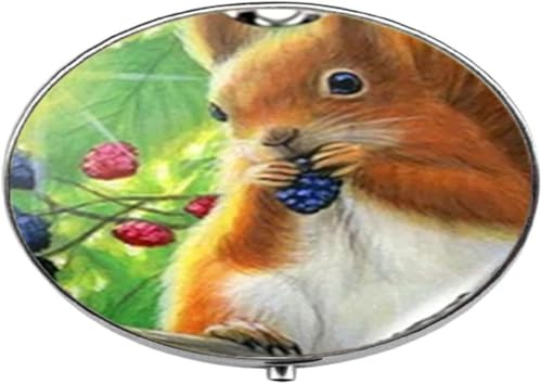 Boîte à pilules en verre Motif écureuil de la forêt