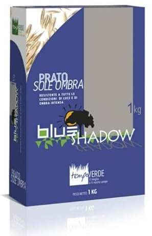 Blue Shadow Kg 1 Semi prato Tempoverde tappeto erboso giardino