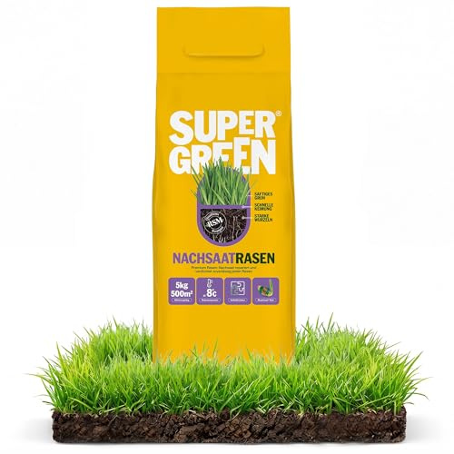 SUPERGREEN Nachsaatrasen Rasensamen | 5 kg für 500m² | Premium Nachsaat für dichten, sattgrünen Rasen | Schließt Lücken schnell & regeneriert Flächen | RSM Qualität & Mantelsaat® Vital