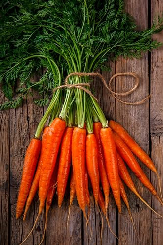 Sachet de graines de Carotte longue de Colmar=Flakkee - Sachet de 25 grammes - Graines de style