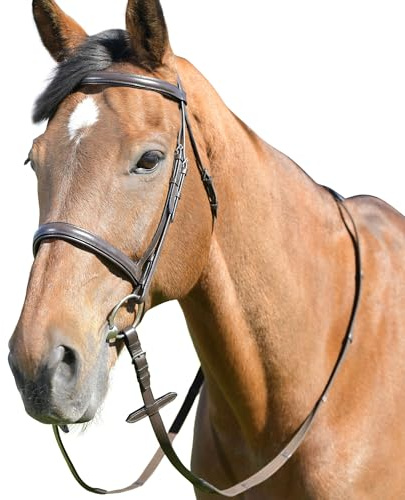 Kincade Bridon cavesson classique avec rênes Marron