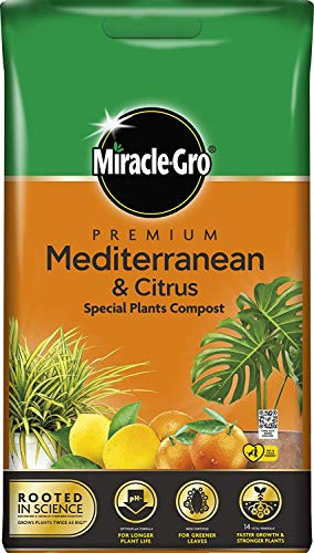 Miracle-Gro 3 x Mediterranean Citrus Compost - 6L BAG, (New 2020 Range)