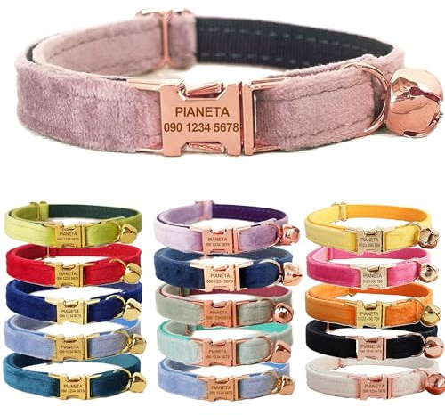 Katzenhalsband, personalisierbar, mit Namen und Glöckchen, maßgeschneiderte Samthalsbänder für Welpen, Kätzchen (L (20,3 cm - 33 cm), Pink)