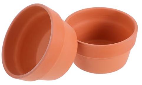 ibasenice Pot en Terre Cuite Lot De 2 Trou De Drainage pour Cactus Succulentes Et Bonsaïs Usage Intérieur Extérieur 12,5 Cm