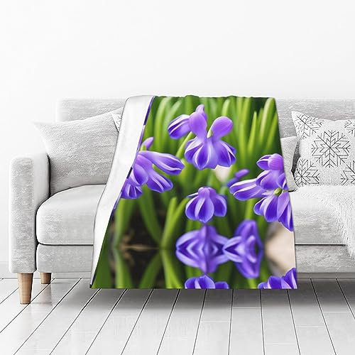 Hyazinthen-Blumen-bedruckte Mikrofaser-Decke, Sofa-Überwurf, Flanell, flauschig, weich, warm, Überwurf, Decken für Bett, Couch, Reisen, 127,7 x 101,6 cm