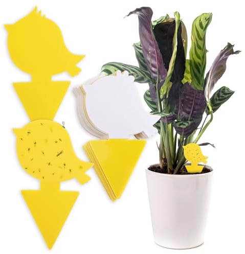 Chillife Gelbsticker Set I 30 Gelbtafeln gegen Trauermücken, 3 Verschiedene Vogel Designs I Falle, Gelbfalle aus Kunststoff und Leim, giftfrei und geruchslos