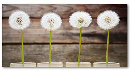 Tulup Leinwandbild - Wandkunst - Drucke auf Leinwand - Leinwanddruck -100x50 cm - Blumen & Pflanzen - Braun - Pusteblumen
