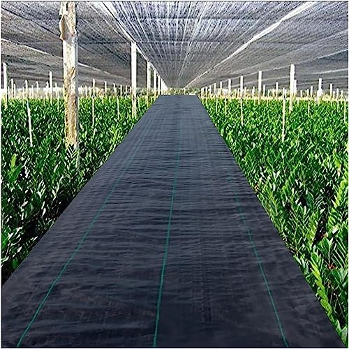 Membrane anti-mauvaises herbes de qualité supérieure - 60 cm de large - Tissu de protection contre les mauvaises herbes - Tissu très résistant - Pour jardin, parterres de fleurs, étang - 10 m à 200 m