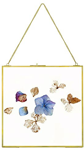 fujack Large Brass Hanging Photo Frame for Pressed Flowers, 12x12 inch Double Clear Glass DIY Artwork Picture Display Clip Frames Dried Plant Specimen Modern Wall Gold Square Ornament