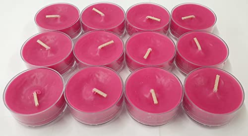 PartyLite 12 Teelichter Himbeer Makaronen / Raspberry Macaroon