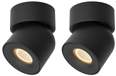 Aisilan 2 Pack Black Ceiling Spotlight Dimmable 9W LED Warm White Rotatable Single Spot Light 360° Adjustable Ceiling Spot Lights for Wall Painting, Gallerie, Art, Living Room, Stairs, Corridor
