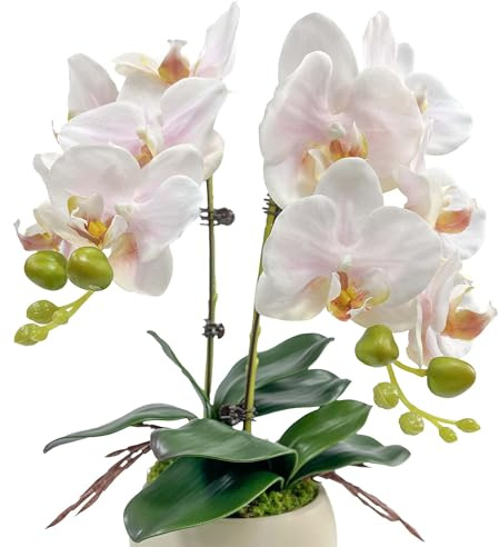QenyiHPD Realistic Artificial Phalaenopsis Orchid, 2 Stems Faux Orchid with 2 Rooted Leaves, No Maintenance Silk Flower with Bendable Stem for Home Office Decoration (Pale Pink)