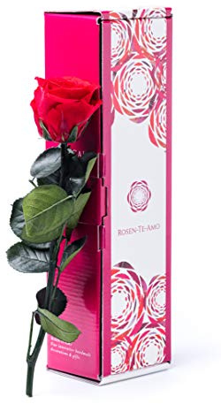 Rosen-Te-Amo Infinity Rose Rot am Stiel - Rosenduft | Echte Konservierte Rose in Geschenkbox | Ewige Blume zum Weihnachten, Valentinstag, Geburtstag für Frauen, Mama | Deko Geschenk