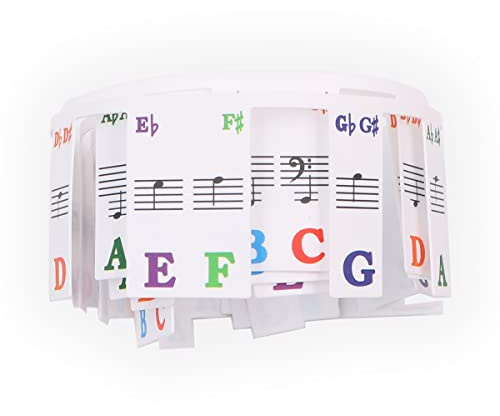 ANCLLO Removable Piano Keyboard Note Labels Piano Key Music Notes Letter Label without Stickers for 61-Key Full Size Comes with Box