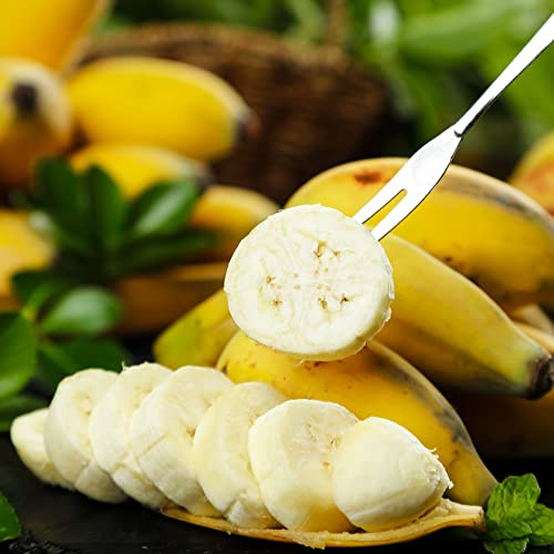 semi di banano - giardino rialzato biologici vecchie varietà estremamente resistenti balcone 40pcs