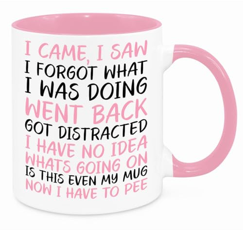 I Came I Saw I Forgot Mug - Funny Novelty Gift Silly Present Mugs for Women Birthday Christmas for Mum Dad Friend Sister for Men Colleague Secret Santa Work Quotes (Pink)